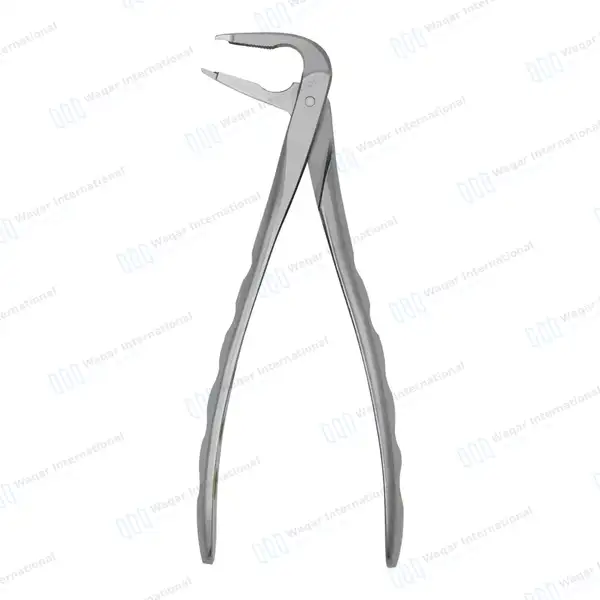 Dental Extracting Forceps #F4 Diamond Dusted Tip Gold Handle - surgical instruments manufactured by Waqar International, Sialkot - view 7
