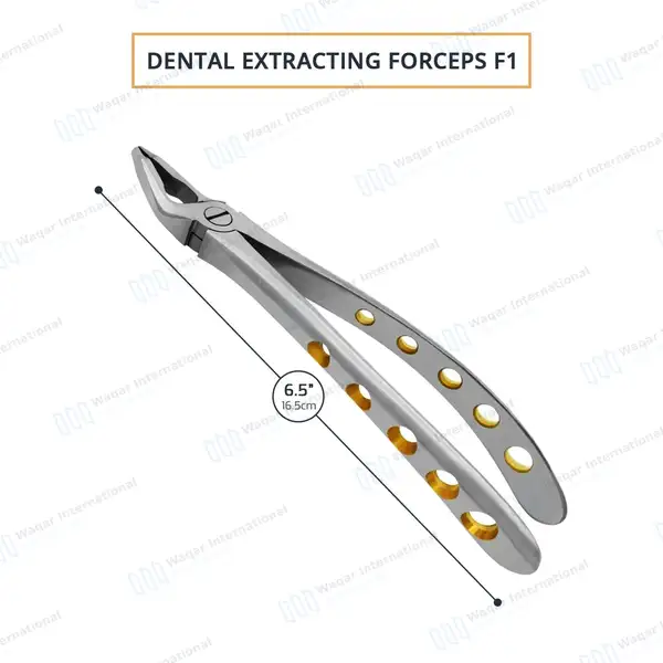 Dental Extracting Forceps #F1 Diamond Dusted Gold Handle - surgical instruments manufactured by Waqar International, Sialkot - view 3