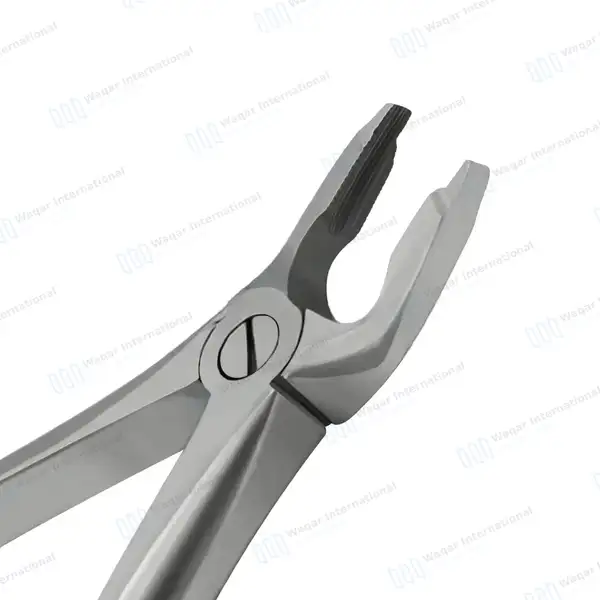 Dental Extracting Forceps #F1 Diamond Dusted Gold Handle - surgical instruments manufactured by Waqar International, Sialkot - view 5