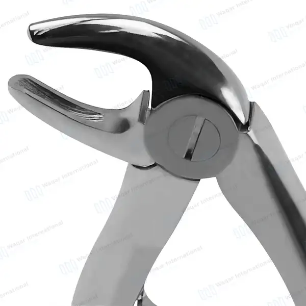 Pedo Extracting Forceps #B Lower Roots Universal Mini - surgical instruments manufactured by Waqar International, Sialkot - view 3