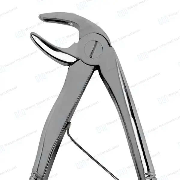 Pedo Extracting Forceps #B Lower Roots Universal Mini - surgical instruments manufactured by Waqar International, Sialkot - view 4
