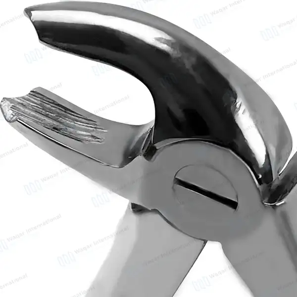 Pedo Extracting Forceps #C Lower Molars Universal Mini - surgical instruments manufactured by Waqar International, Sialkot - view 3