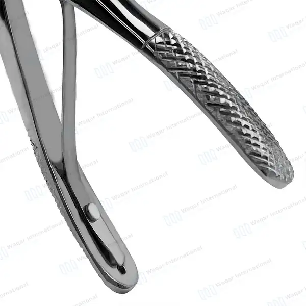 Pedo Extracting Forceps #C Lower Molars Universal Mini - surgical instruments manufactured by Waqar International, Sialkot - view 5