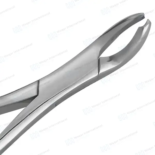 Universal Extraction Forceps #17 with Gold Hollow Python Grip Handle - dental instruments manufactured by Waqar International, Sialkot - view 3