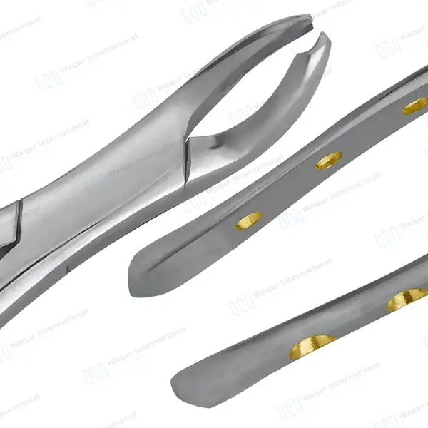 Universal Extraction Forceps #17 with Gold Hollow Python Grip Handle - dental instruments manufactured by Waqar International, Sialkot - view 5