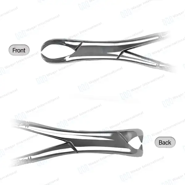 Extracting Forceps #23 Lower Molars with Green Color Coated Handle - dental instruments manufactured by Waqar International, Sialkot - view 3