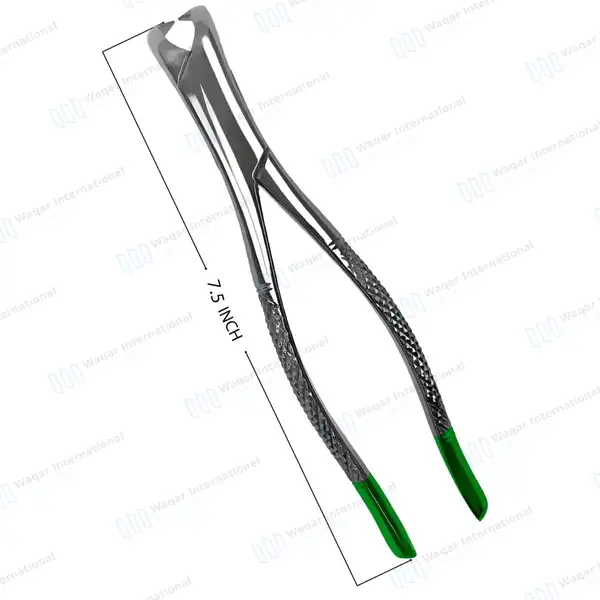 Extracting Forceps #23 Lower Molars with Green Color Coated Handle - dental instruments manufactured by Waqar International, Sialkot - view 4