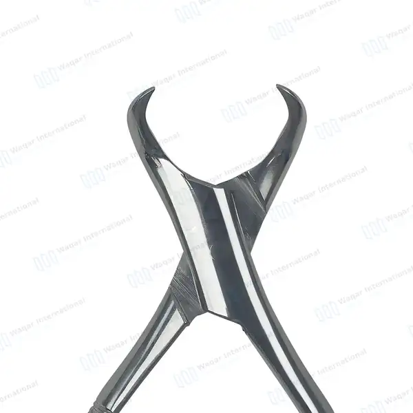 Extracting Forceps #23 Lower Molars with Green Color Coated Handle - dental instruments manufactured by Waqar International, Sialkot - view 5