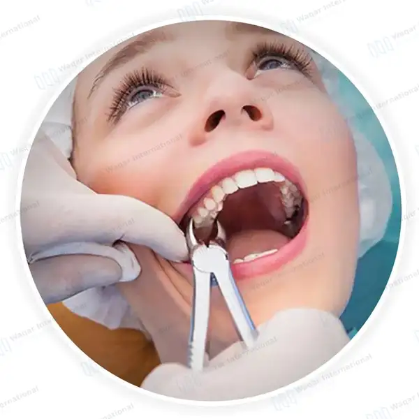 Extracting Forceps #23 Lower Molars with Green Color Coated Handle - dental instruments manufactured by Waqar International, Sialkot - view 8