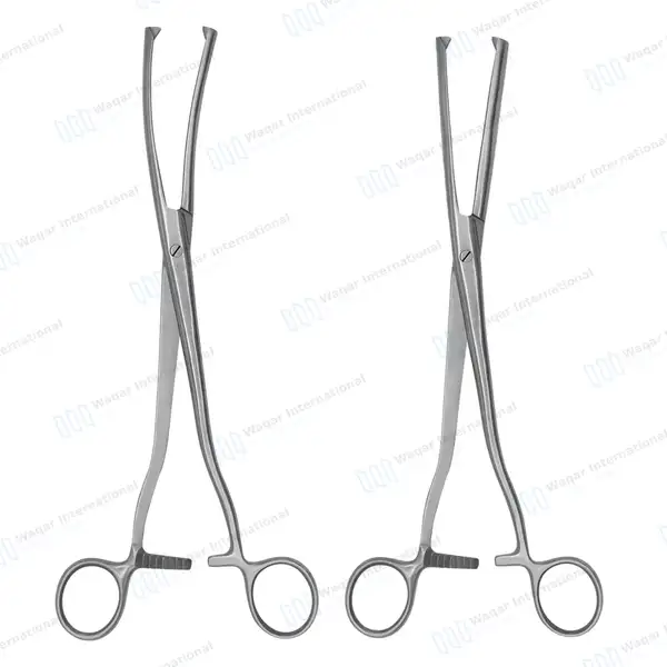 2 Museux Tenaculum Forceps Straight & Curved 6mm Wide 2×2 Teeth 9.5″ - surgical instruments manufactured by Waqar International, Sialkot - view 2