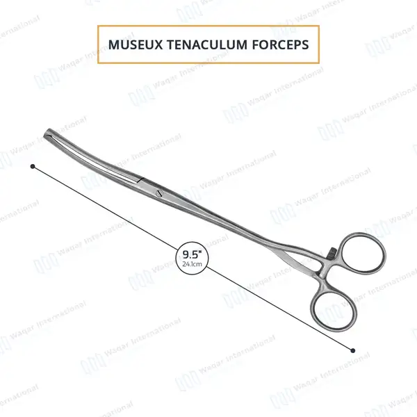 2 Museux Tenaculum Forceps Straight & Curved 6mm Wide 2×2 Teeth 9.5″ - surgical instruments manufactured by Waqar International, Sialkot - view 6