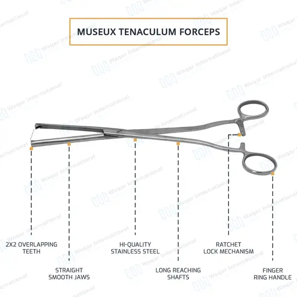 2 Museux Tenaculum Forceps Straight & Curved 6mm Wide 2×2 Teeth 9.5″ - surgical instruments manufactured by Waqar International, Sialkot - view 7
