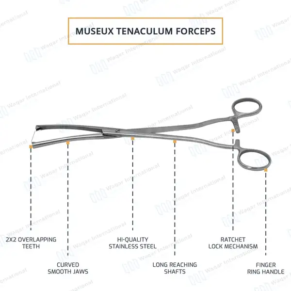 2 Museux Tenaculum Forceps Straight & Curved 6mm Wide 2×2 Teeth 9.5″ - surgical instruments manufactured by Waqar International, Sialkot - view 8
