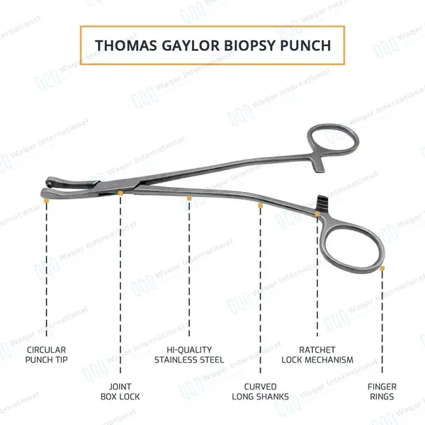 Thomas-Gaylor Uterine Biopsy Punch Forceps 8.5″ Curved Jaws 5mm Bite - surgical instruments manufactured by Waqar International, Sialkot - view 4