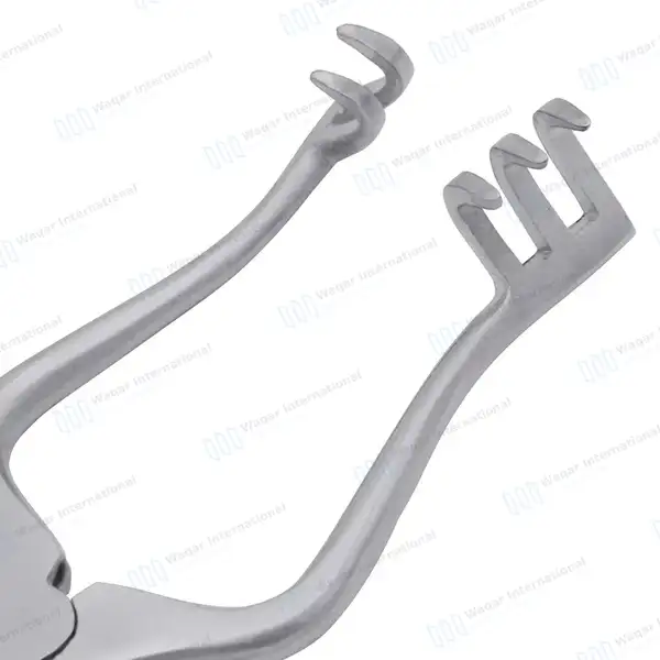 2 Pcs Weitlaner Self Retaining Retractor 4.5″ Sharp & Blunt 2×3 Prong - surgical instruments manufactured by Waqar International, Sialkot - view 3