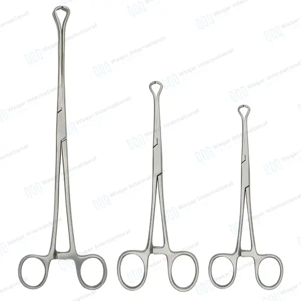 3 Pcs Babcock Intestinal Tissue Forceps Set 6.25″, 8.25″, 10″ - surgical instruments manufactured by Waqar International, Sialkot - view 4