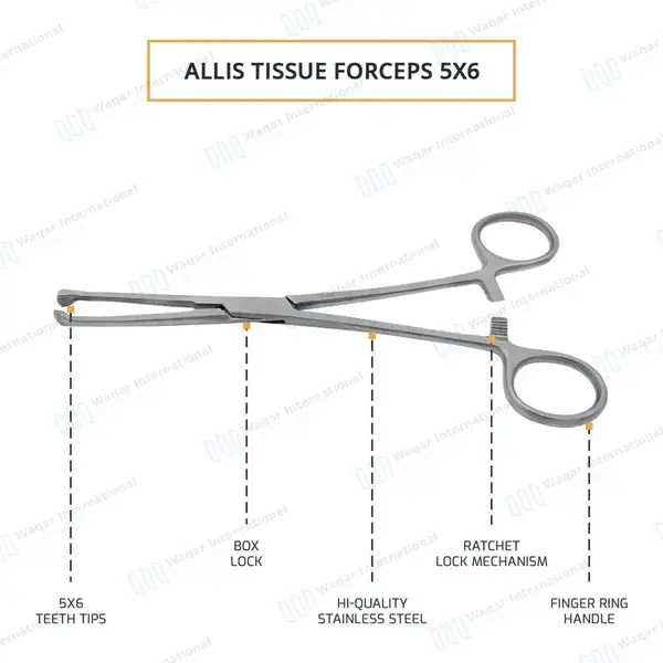 Allis Tissue Forceps 6″ 5×6 Teeth - surgical instruments manufactured by Waqar International, Sialkot - view 4