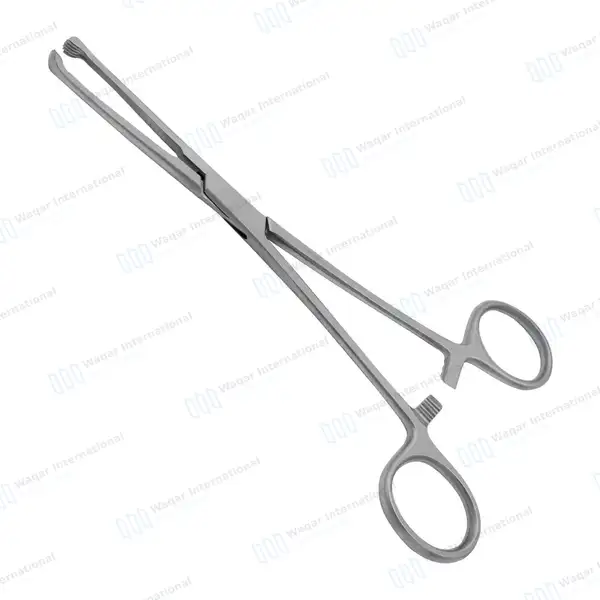 Allis Tissue Forceps 7″ 5×6 Teeth - surgical instruments manufactured by Waqar International, Sialkot - view 2
