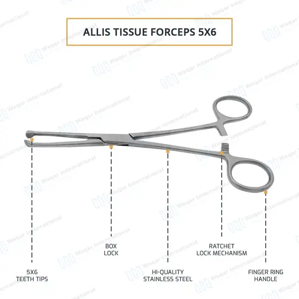 Allis Tissue Forceps 7″ 5×6 Teeth - surgical instruments manufactured by Waqar International, Sialkot - view 4