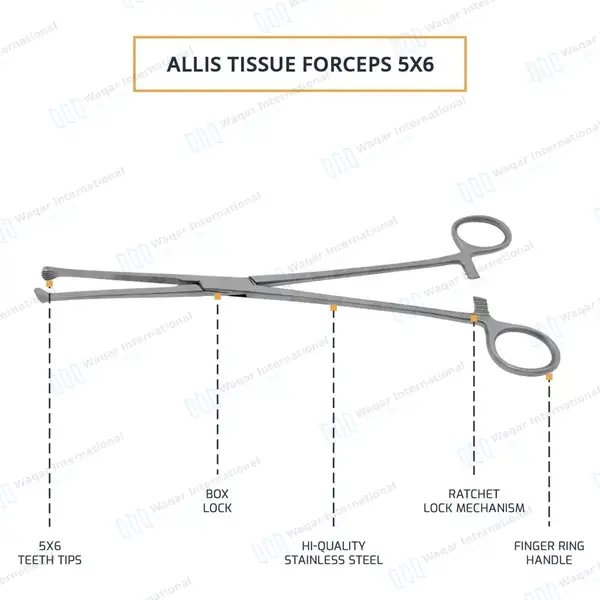Allis Tissue Forceps 10″ 5×6 Teeth - surgical instruments manufactured by Waqar International, Sialkot - view 4