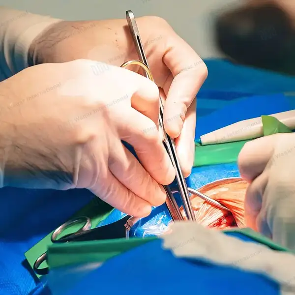 Scalpel Handle #5 with Green Plastic Grip - surgical instruments manufactured by Waqar International, Sialkot - view 3