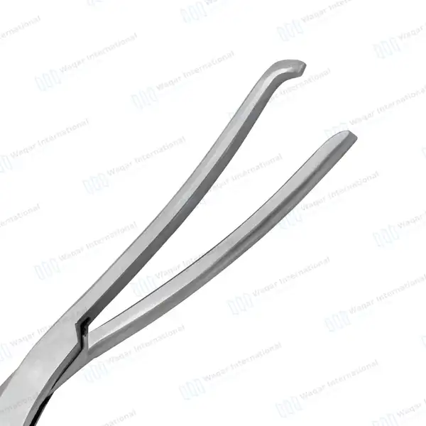 Cheattle Sterilizing Forceps 11″ Slightly Curved Jaws - surgical instruments manufactured by Waqar International, Sialkot - view 4