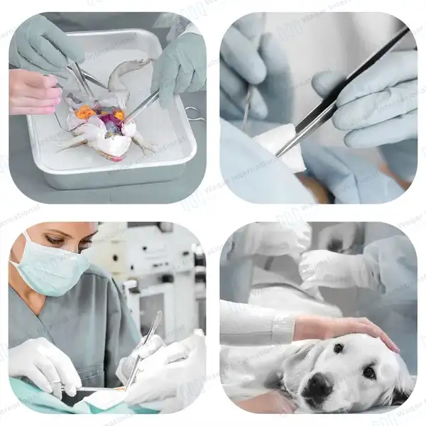 19 Pcs Biology Lab Anatomy Medical Student Dissecting Kit - surgical instruments manufactured by Waqar International, Sialkot - view 7