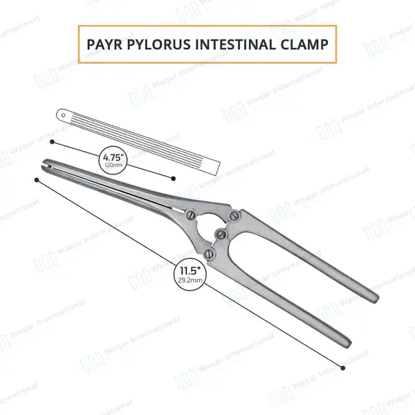 Payr Pylorus Clamps 11.5″ with Pin 4.75″ (120mm) Serrated Jaws - surgical instruments manufactured by Waqar International, Sialkot - view 3
