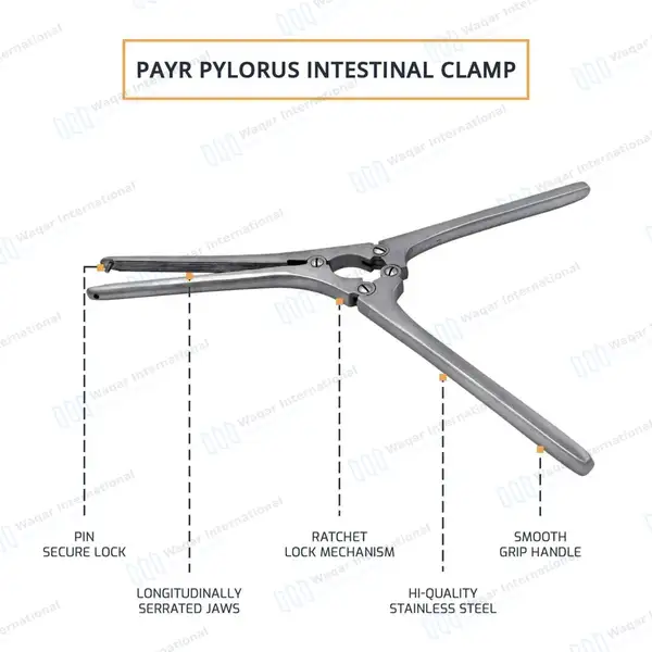 Payr Pylorus Clamps 11.5″ with Pin 4.75″ (120mm) Serrated Jaws - surgical instruments manufactured by Waqar International, Sialkot - view 4