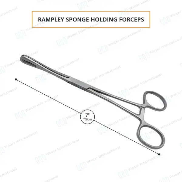 Rampley Sponge Holding Forcep 7″ Straight Serrated Jaws - surgical instruments manufactured by Waqar International, Sialkot - view 3