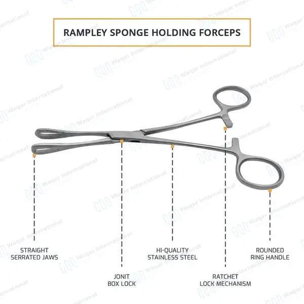 Rampley Sponge Holding Forcep 7″ Straight Serrated Jaws - surgical instruments manufactured by Waqar International, Sialkot - view 4