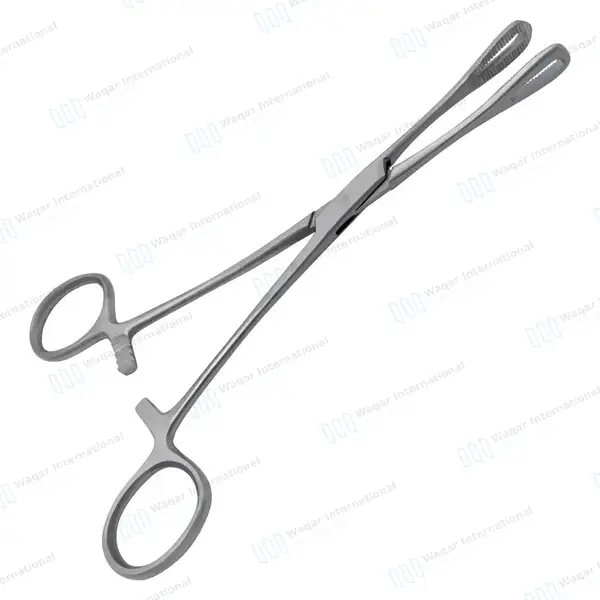Rampley Sponge Holding Forcep 7″ Straight Serrated Jaws - surgical instruments manufactured by Waqar International, Sialkot - view 7