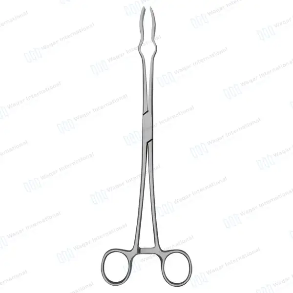 4 Prongs Davis Sterilizer Forceps 10″ with Lock - surgical instruments manufactured by Waqar International, Sialkot - view 6
