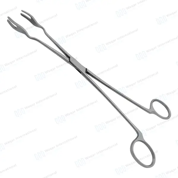 4 Prongs Davis Sterilizer Forceps 10″ Without Lock - surgical instruments manufactured by Waqar International, Sialkot - view 2
