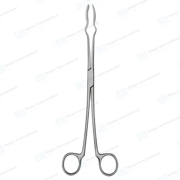 4 Prongs Davis Sterilizer Forceps 10″ Without Lock - surgical instruments manufactured by Waqar International, Sialkot - view 7
