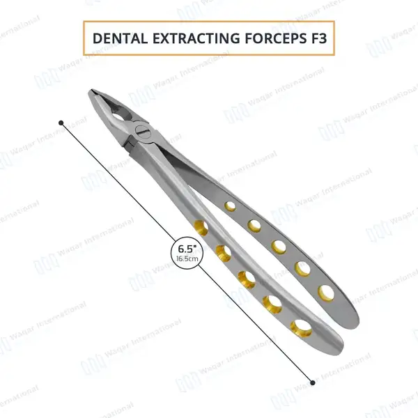 Dental Extracting Forceps #F3 Diamond Dusted Tips Gold Handle - surgical instruments manufactured by Waqar International, Sialkot - view 3