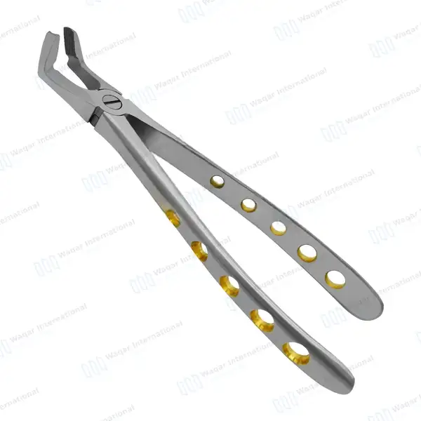 Dental Extracting Forceps #F7 Diamond Dusted Tips Gold Handle - surgical instruments manufactured by Waqar International, Sialkot - view 2