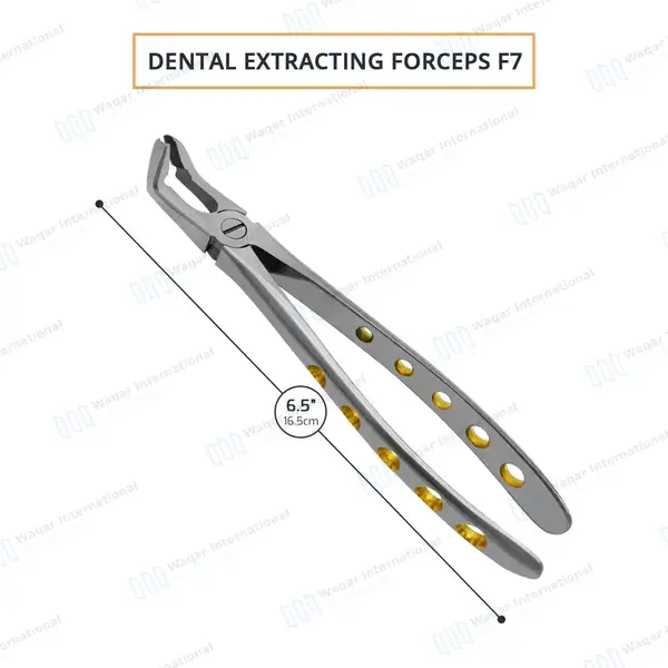 Dental Extracting Forceps #F7 Diamond Dusted Tips Gold Handle - surgical instruments manufactured by Waqar International, Sialkot - view 3