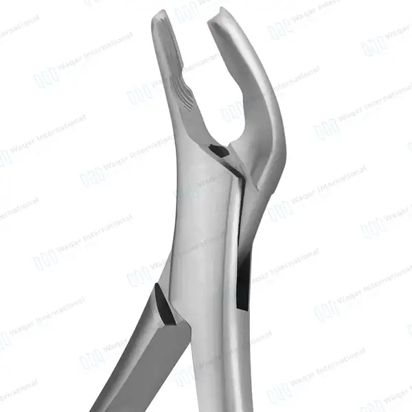 Pedo Extracting Forceps #151XAS Diamond Dusted Gold Hollow Handle - surgical instruments manufactured by Waqar International, Sialkot - view 2
