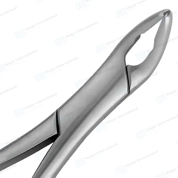 Pedo Extracting Forceps #151XAS Diamond Dusted Gold Hollow Handle - surgical instruments manufactured by Waqar International, Sialkot - view 5