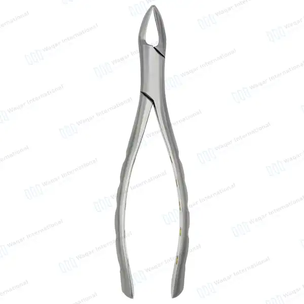 Extraction Forceps #150 Upper Incisors Gold Hollow Python Grip Handle - dental instruments manufactured by Waqar International, Sialkot - view 7
