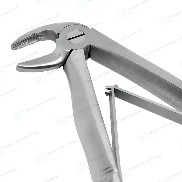 Pedo Extracting Forceps #D Lower Incisors Klein Pedodontic - surgical instruments manufactured by Waqar International, Sialkot - view 3