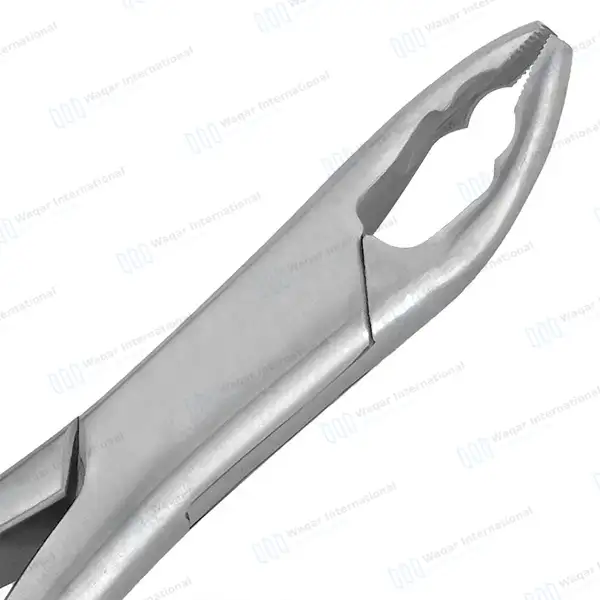 Extracting Forceps #150AS Diamond Dusted Python Grip Gold Hollow Handle - dental instruments manufactured by Waqar International, Sialkot - view 3