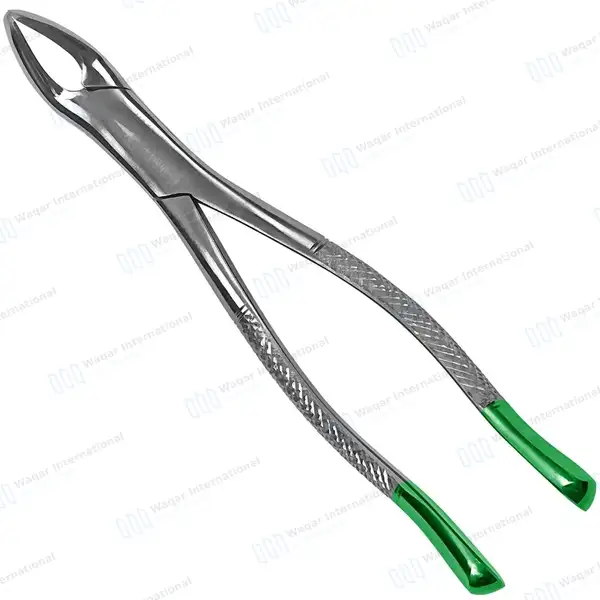Universal Extraction Forceps #151 Green Handle - dental instruments manufactured by Waqar International, Sialkot - view 2
