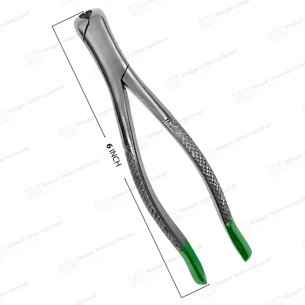 Universal Extraction Forceps #151 Green Handle - dental instruments manufactured by Waqar International, Sialkot - view 3
