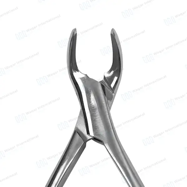 Universal Extraction Forceps #151 Green Handle - dental instruments manufactured by Waqar International, Sialkot - view 4