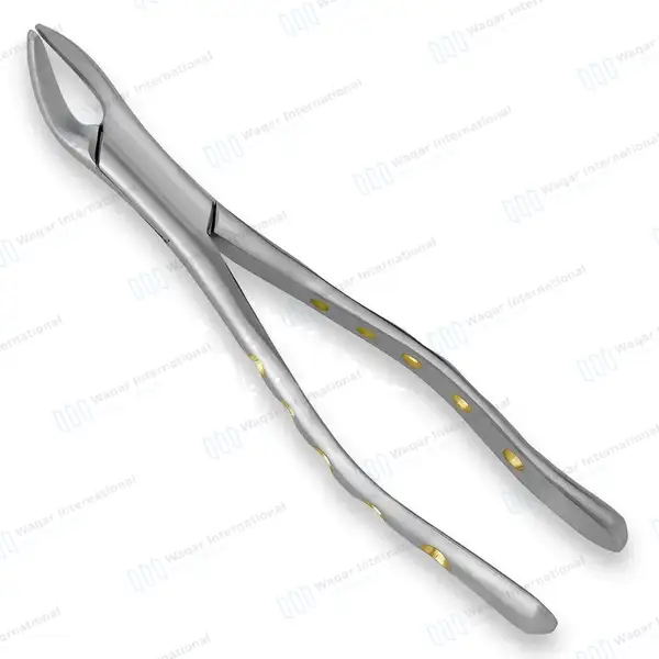Extracting Forceps #151 P-1 Diamond Dusted Gold Hollow Handle - dental instruments manufactured by Waqar International, Sialkot - view 2