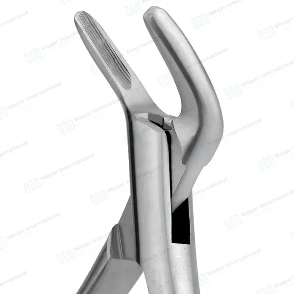 Extracting Forceps #151 P-1 Diamond Dusted Gold Hollow Handle - dental instruments manufactured by Waqar International, Sialkot - view 3