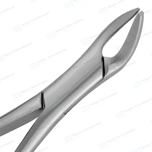 Extracting Forceps #151 P-1 Diamond Dusted Gold Hollow Handle - dental instruments manufactured by Waqar International, Sialkot - view 4