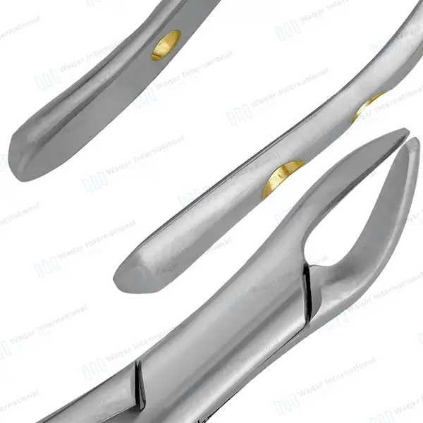 Extracting Forceps #151 P-1 Diamond Dusted Gold Hollow Handle - dental instruments manufactured by Waqar International, Sialkot - view 7